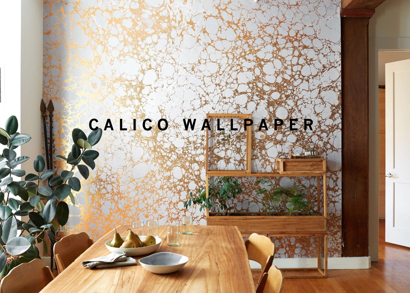 CALICO WALLPAPERName.jpg
