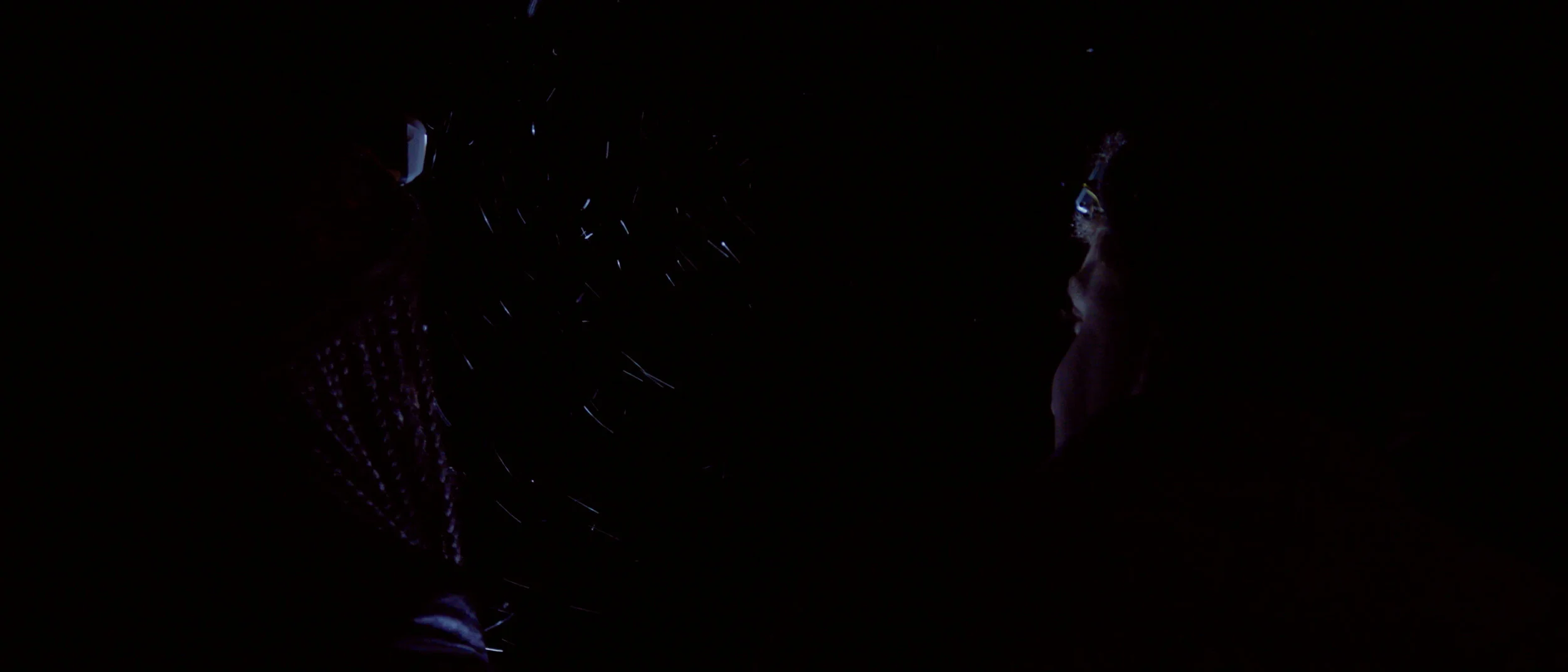 1) Death Trip_2020_GoodHouse 26.jpeg