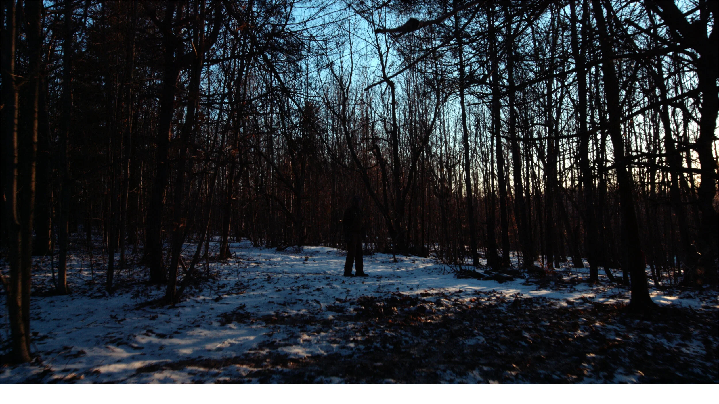 1) Death Trip_2020_GoodHouse 38.jpeg