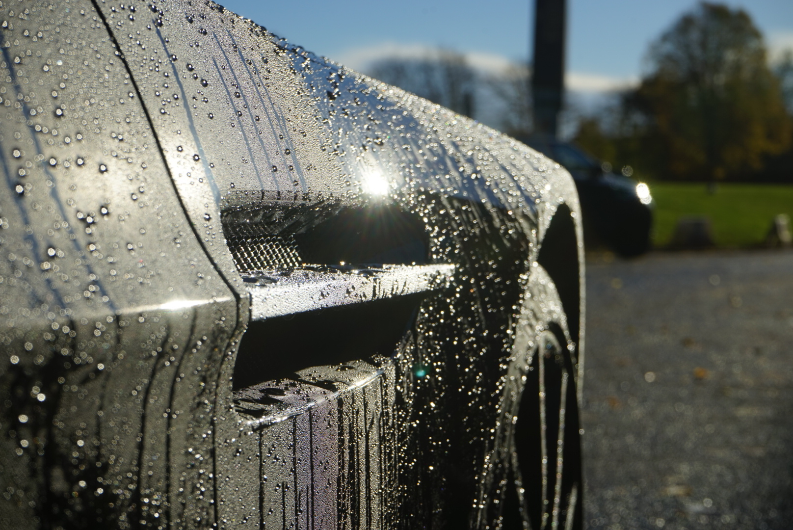 Protection Detail Back.jpg