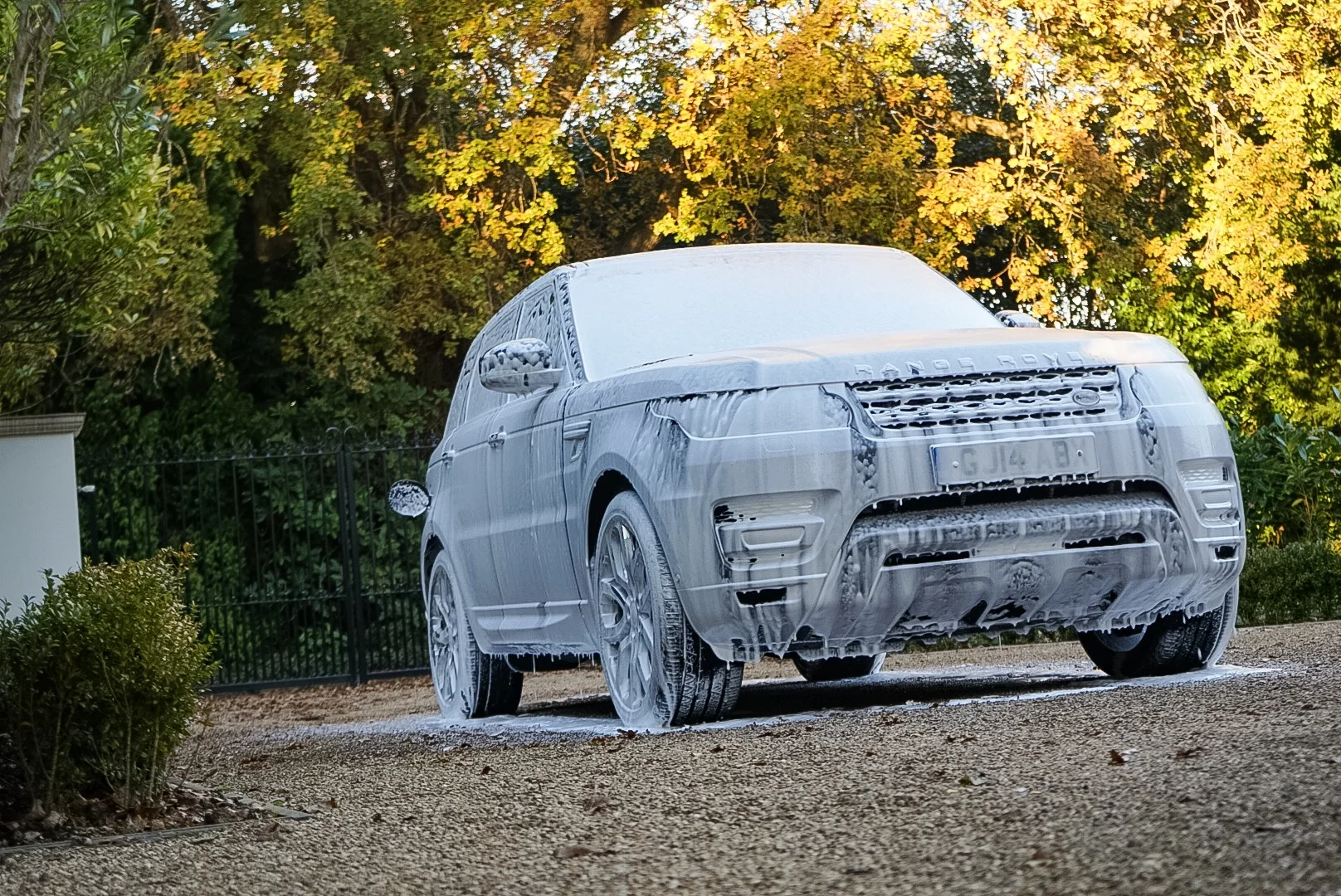 Maintenance Back.jpg