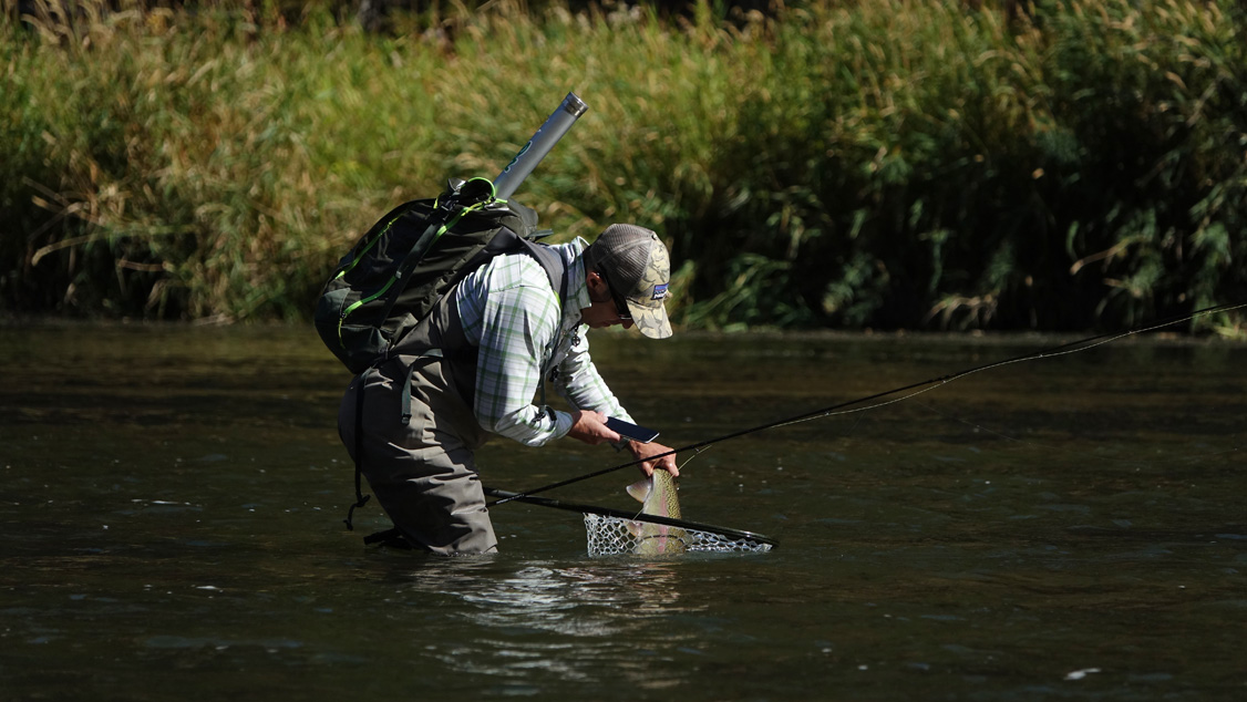 Keep the fish wet. Get your photos. It's a catch & release no-brainer.