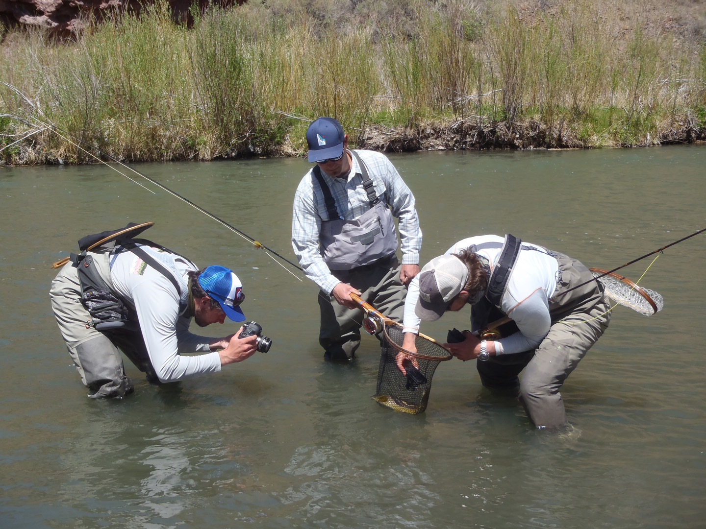 From left Josh Prestin, Bryan Huskey and Paul Moinester photograph a resting brown trout. Alison Kelsey photo.