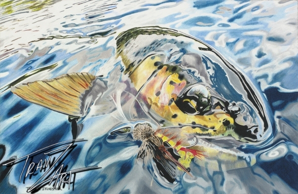 "Felicity" is drawn from a Bryan Huskey #keepemwet photo of a wild Eastern Oregon desert rainbow trout.