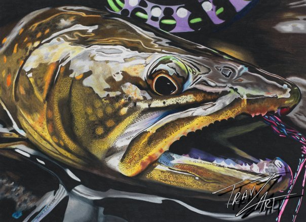 "I Call Bull" is drawn from a Bryan Huskey #keepemwet photo of a wild bull trout from the Imnaha River.
