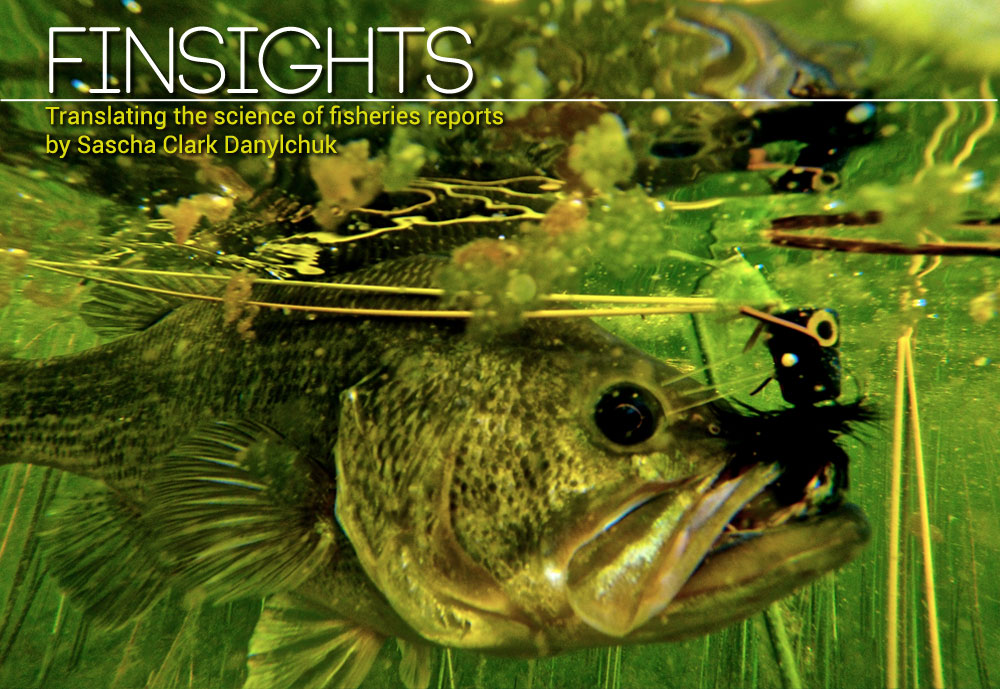 Finsights #9– How do you handle fish? Paul Moinester/Keepemwet Fishing photo.