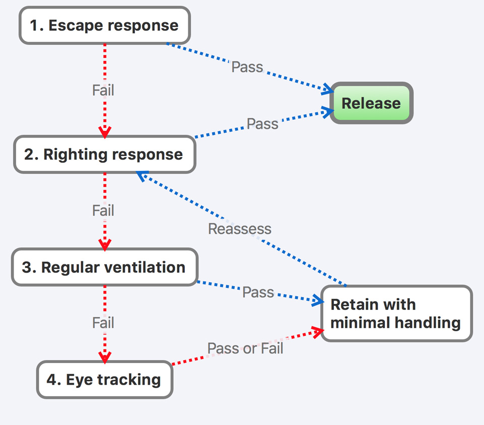 Concept diagram Reflexes.jpg