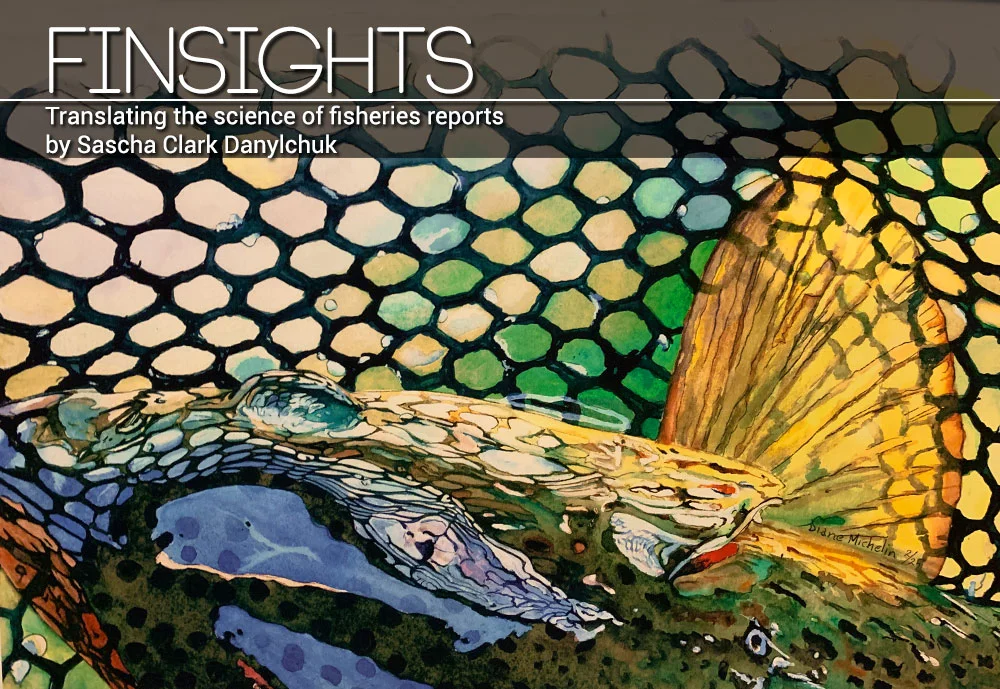 NET MESH TYPES — Keep Fish Wet