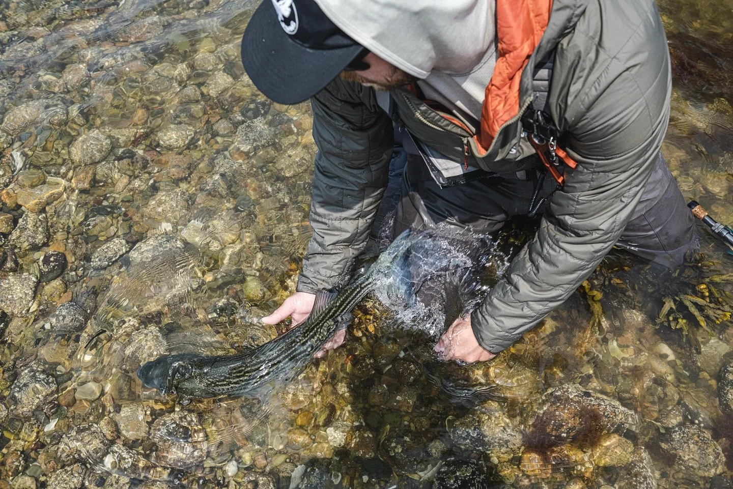 &quot;When we slow down and think about each encounter during the season, it becomes clear that careful handling during every single interaction is not only vital to that individual fish&rsquo;s survival but to the entire future of the striped bass p