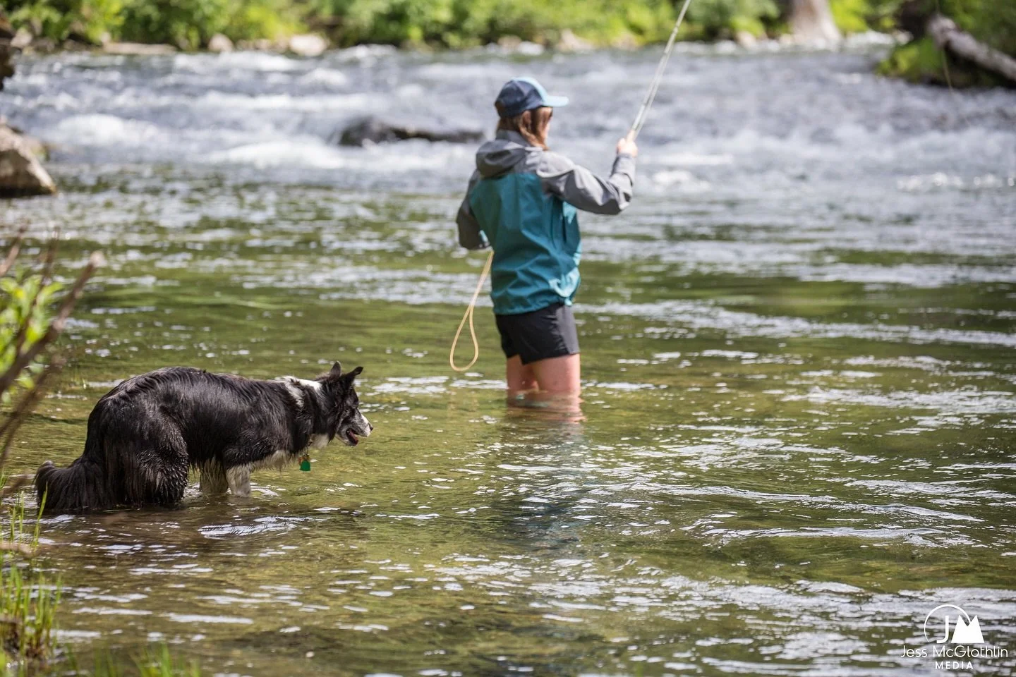 Who doesn't love a good wet wading session?!

📷 Jessica McGlothlin (@jess_mcglothlin_media) 
#keepfishwet #keepemwet #fishing #flyfishing #conservation