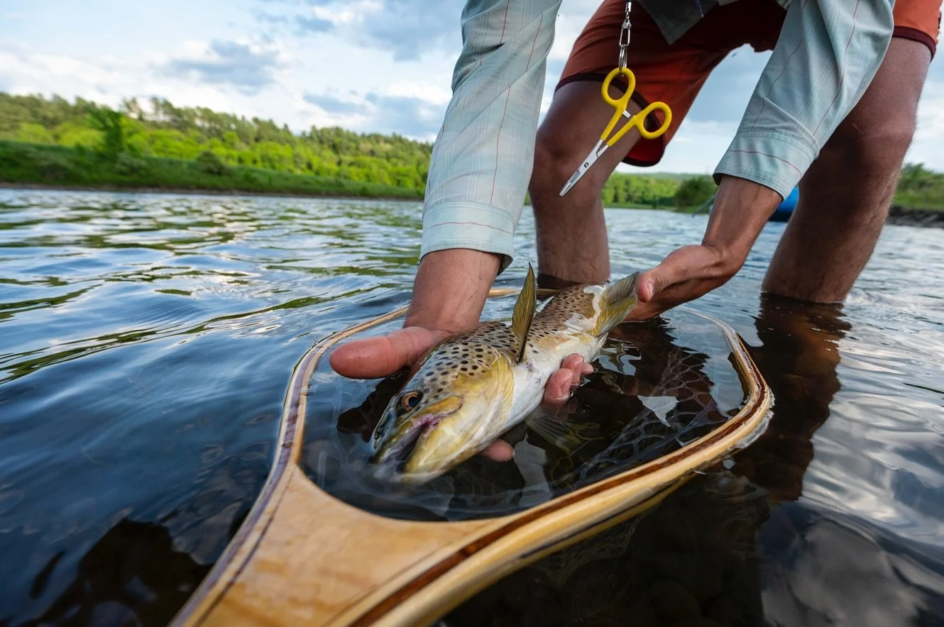 Best when mixed with water.

📷 Joe Klementovich (@klementovich) 
#keepfishwet #keepemwet #fishing #flyfishing #conservation