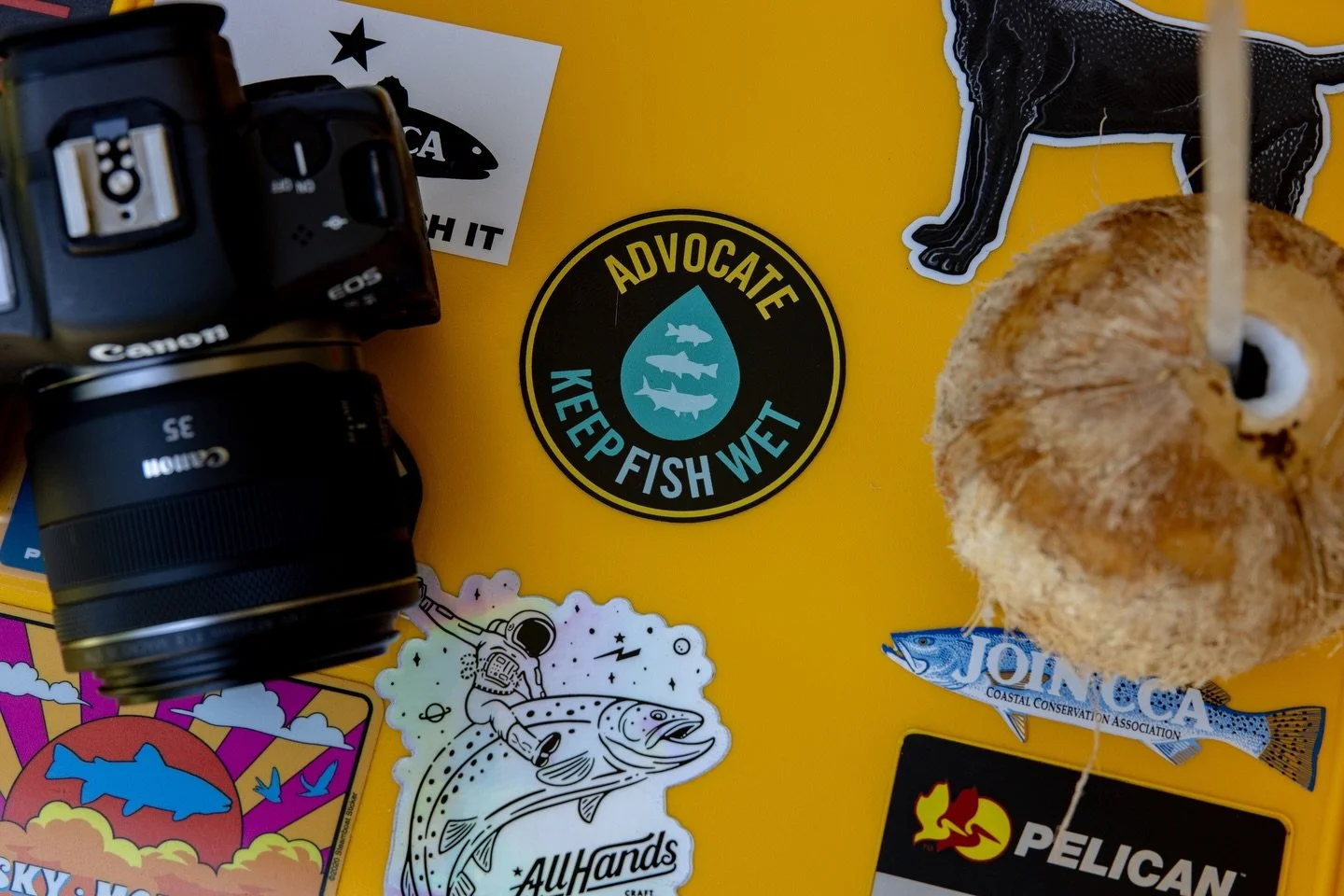 We always love seeing a well-placed sticker!

📷 Justin Hodge (@j.hodgeproductions) 
#keepfishwet #keepemwet #fishing #flyfishing #conservation