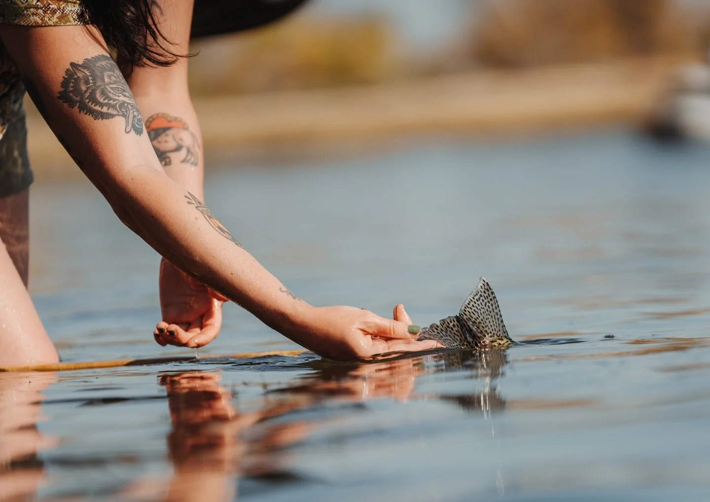 Gently parting ways ...

📷 Amber Payliss (@thebugparade) 
#keepfishwet #keepemwet #fishing #flyfishing #conservation