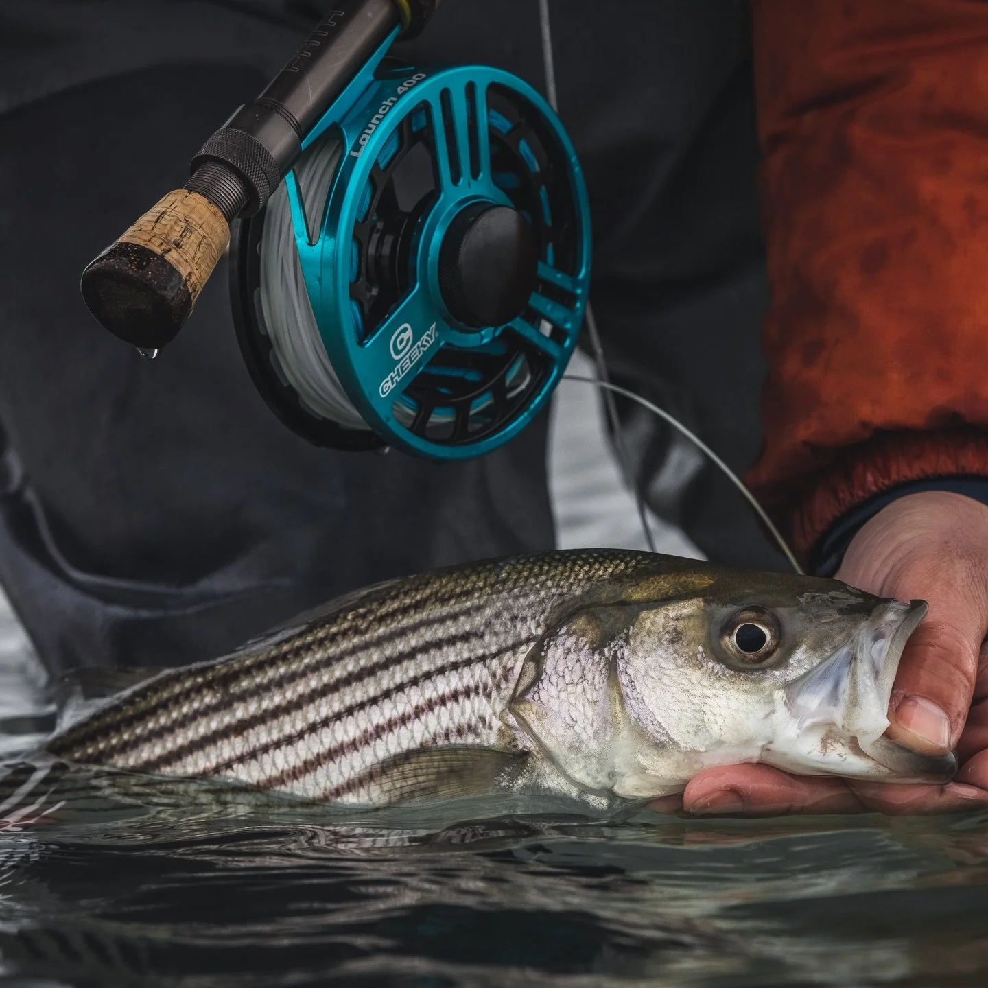 Following science-based best practices improves the chances of each striper being able to swim away strong and healthy, ready to be caught again another day. 

Each time you release a striper is an opportunity to put conservation into action. Help su