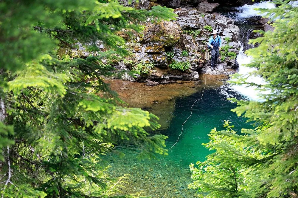 We hope you&rsquo;ve been keeping your lines wet as well!

📷 Dave McCoy (@davemccoyewa) 
#keepfishwet #keepemwet #fishing #flyfishing #conservation