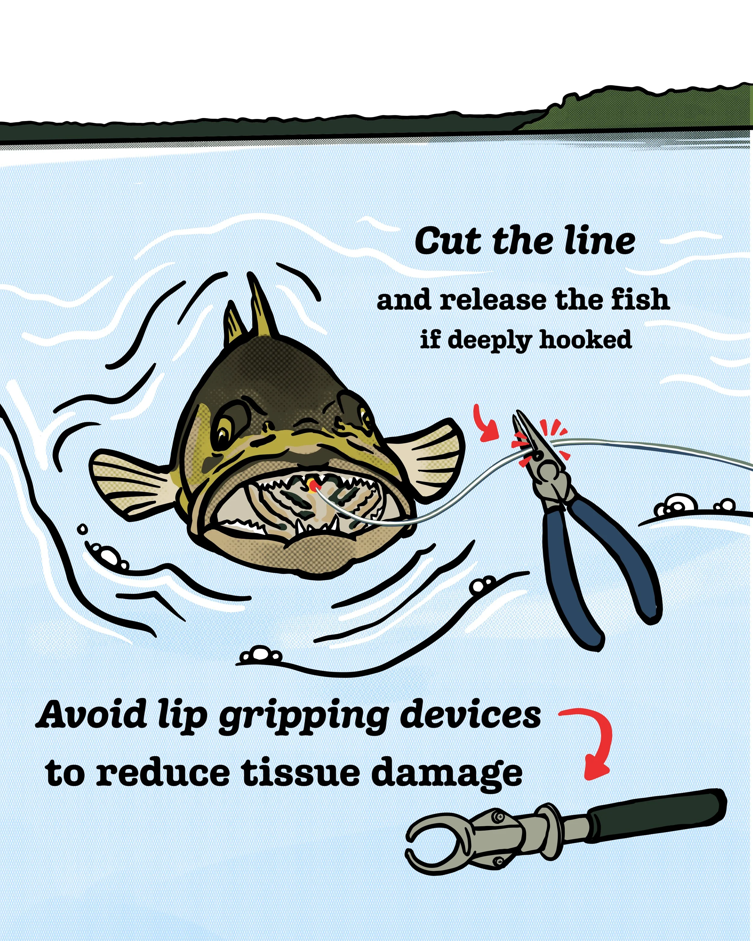 WIOH-DECK-WEB-11-CUTLINE.jpg