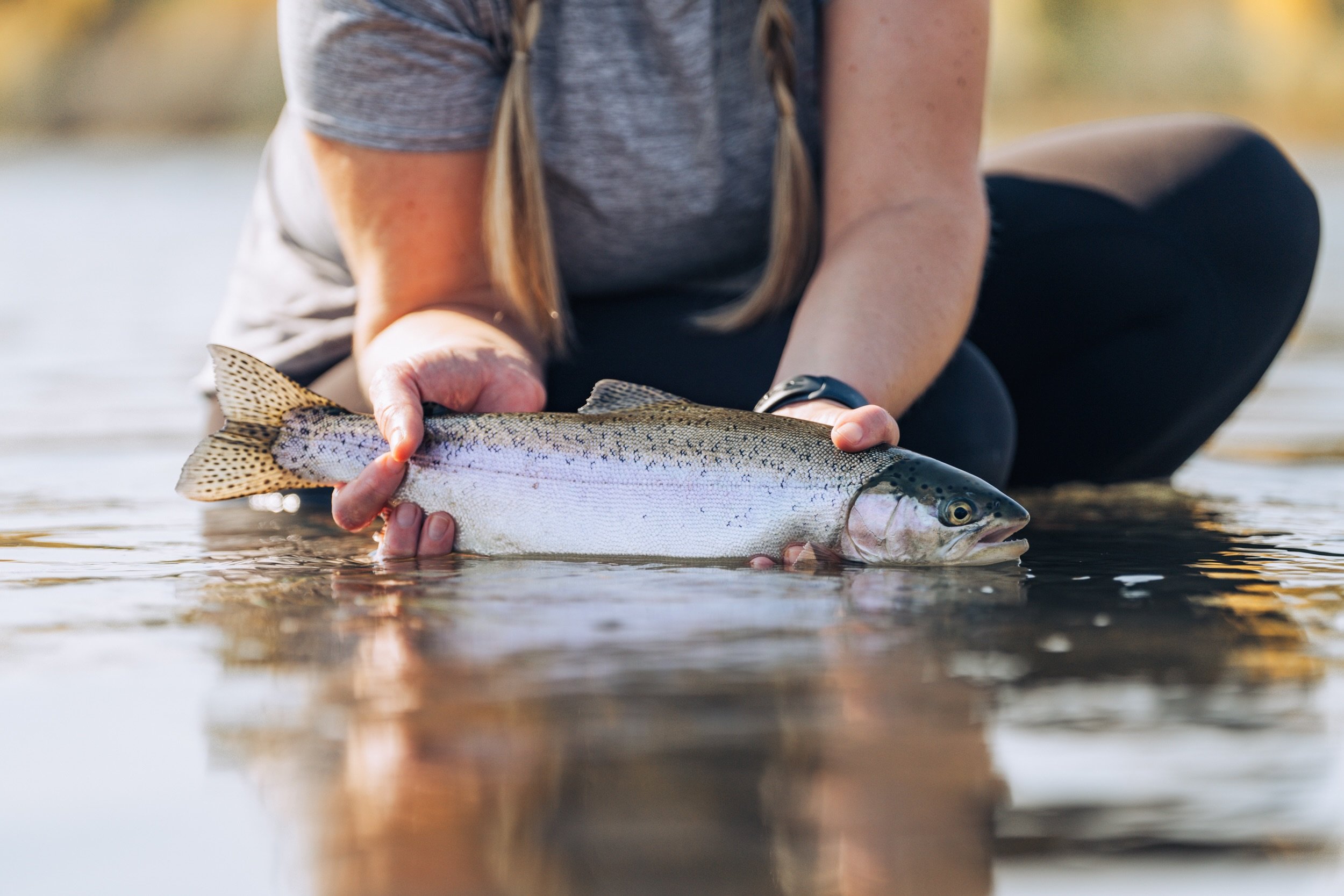 Keep Fish Wet promotes the use of science-based best practices to catch, handle, and release fish. Learn more at the link in our bio.

📷 Amber Payliss (@thebugparade) 
#keepfishwet #keepemwet #fishing #flyfishing #conservation