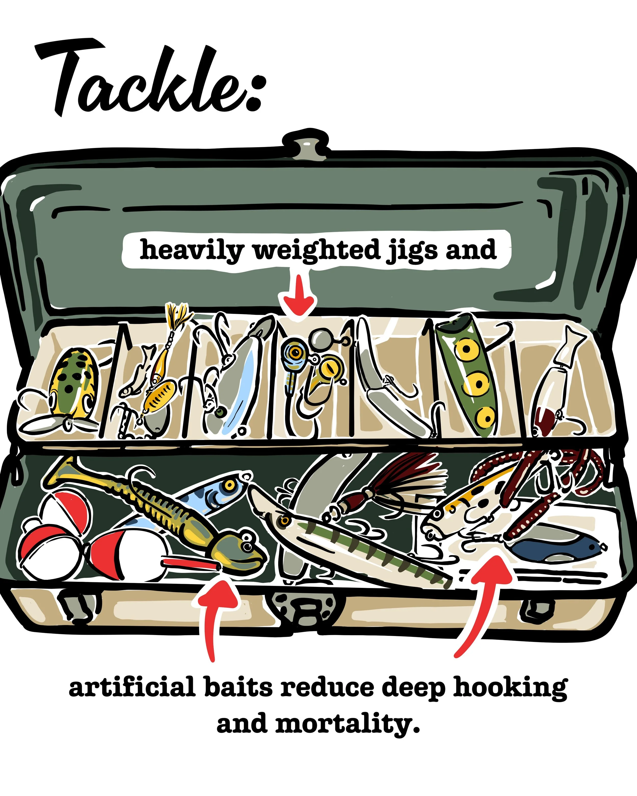 When it comes to choosing tackle for walleye fishing and you plan to release fish, use heavily weighted jigs and artificial baits to reduce chances of deep hook and mortality. Barbless hooks also make hook remover faster and easier. 

#walleyeinourha