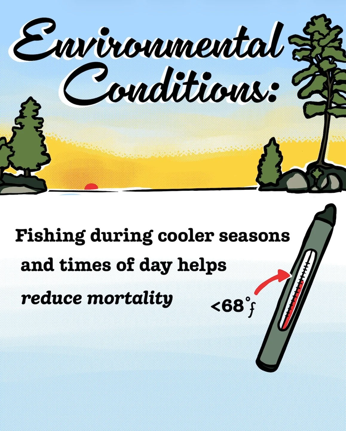 Do you know how warm your water is? As coldwater species, fishing for walleye during cooler times of the day and year is better for them. 

#walleyeinourhands #fishing #conservation @keep.fish.wet @glifwc @usgs @michigandnr @minnesotadnr @wi_dnr @ill