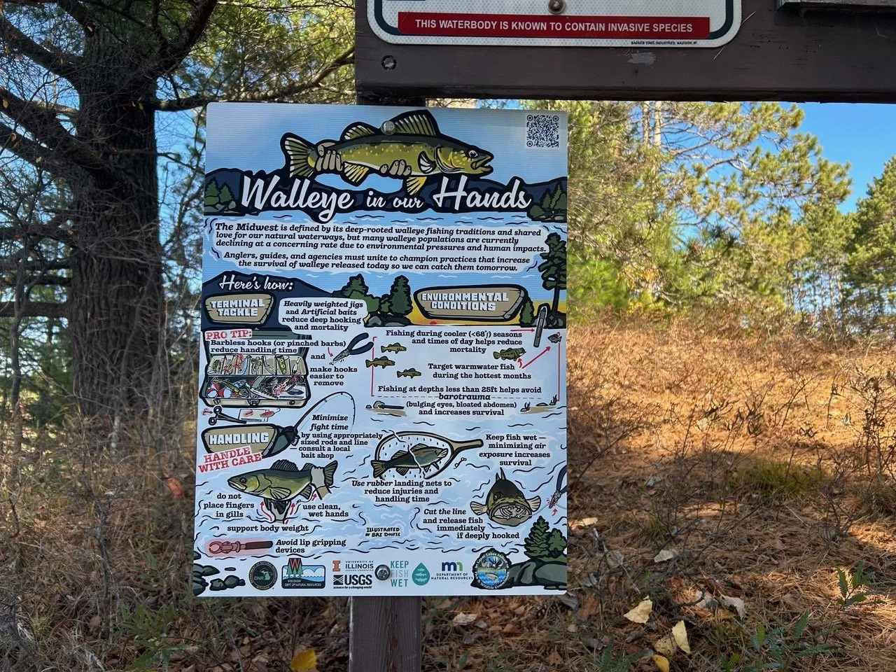 An infographic explaining best practices for handling Walleye in front of a lake and fall leaves