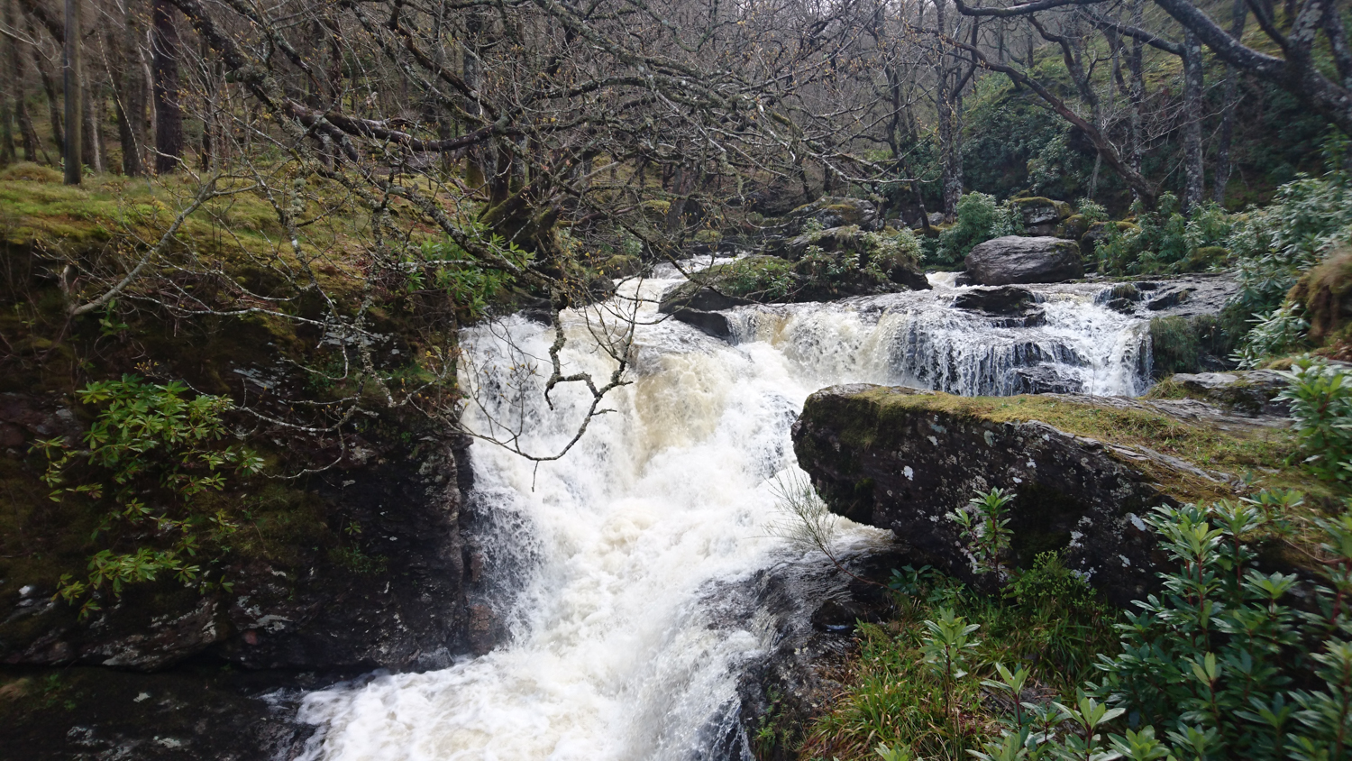 West Highland Way (17 of 43).jpg