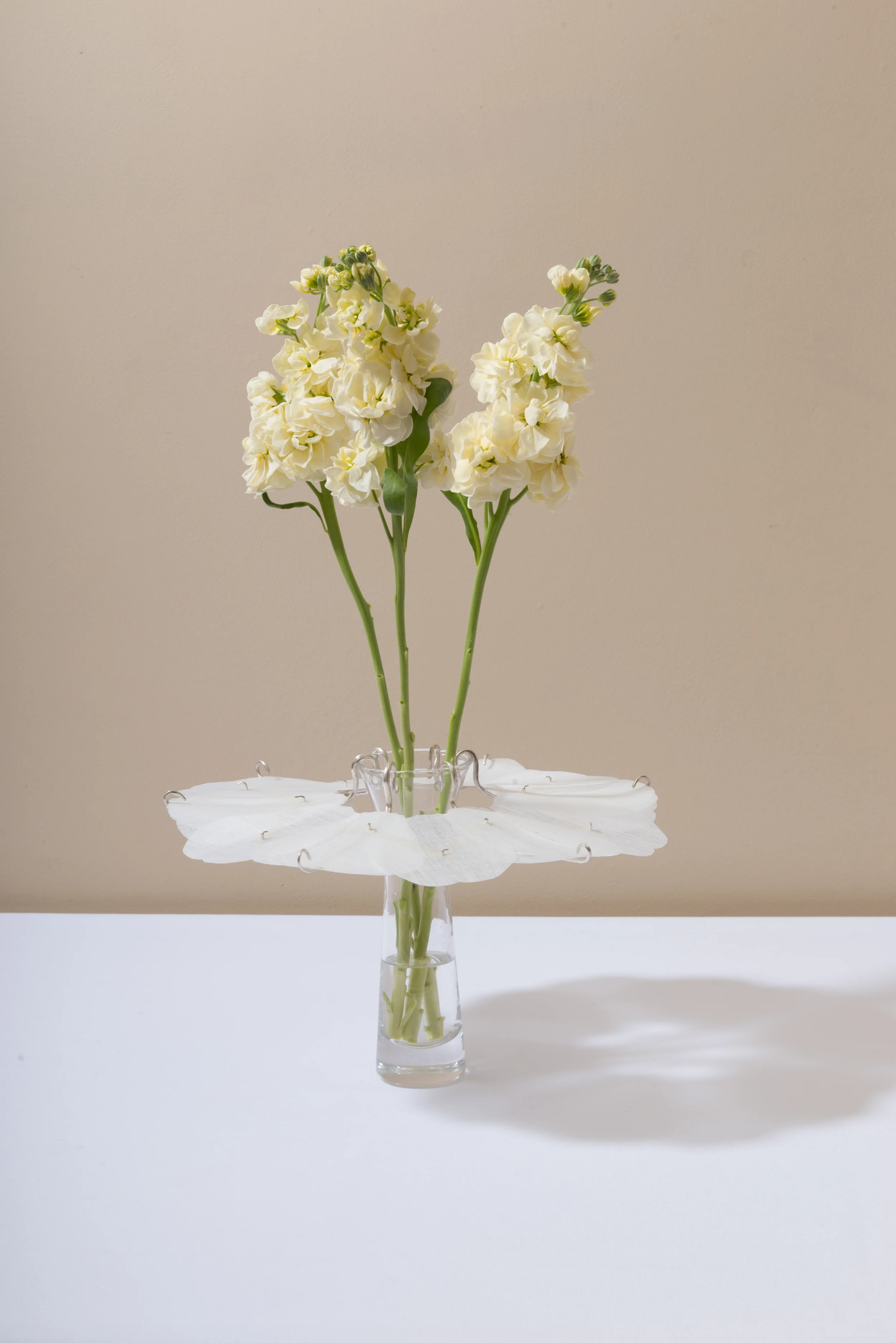 Petal Catcher