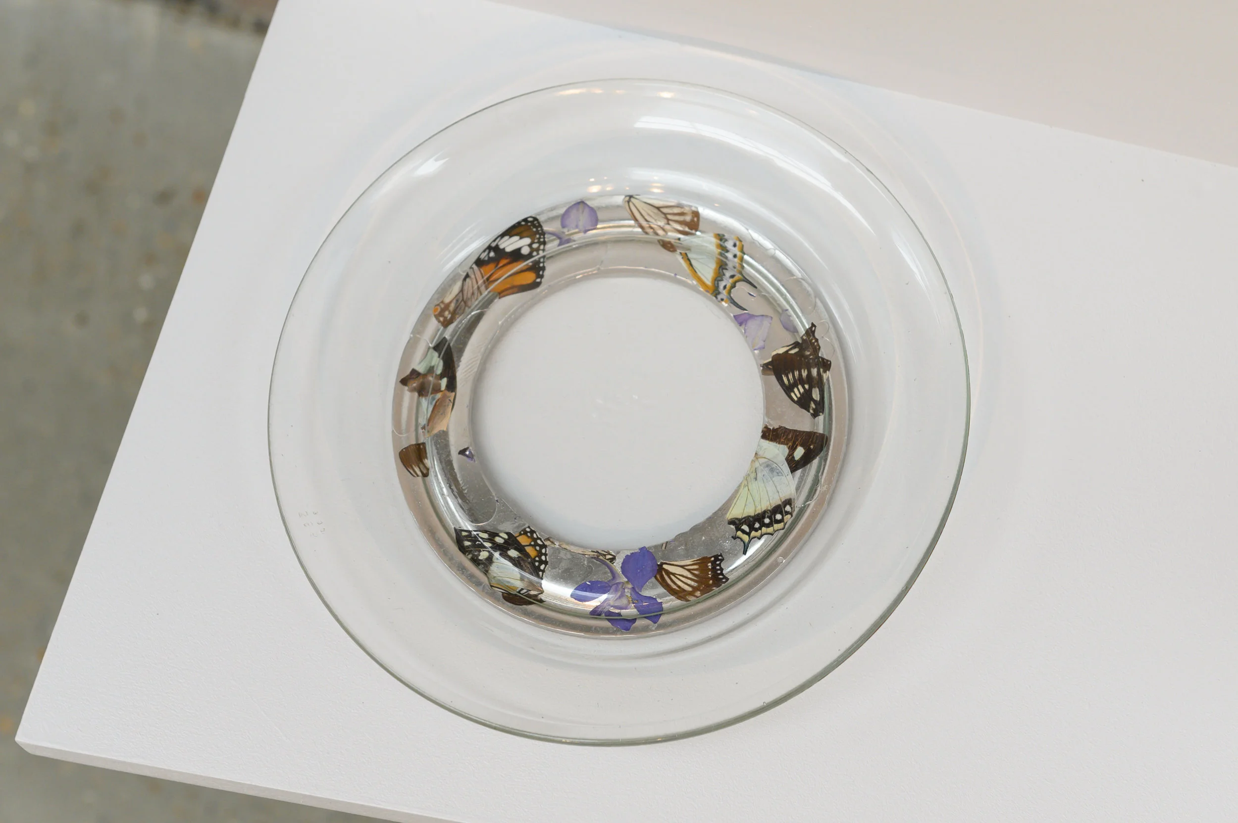 Gran’s Plate III - preserved butterflies, pressed Delphinium, pewter alloy & Gran’s plate (glass)