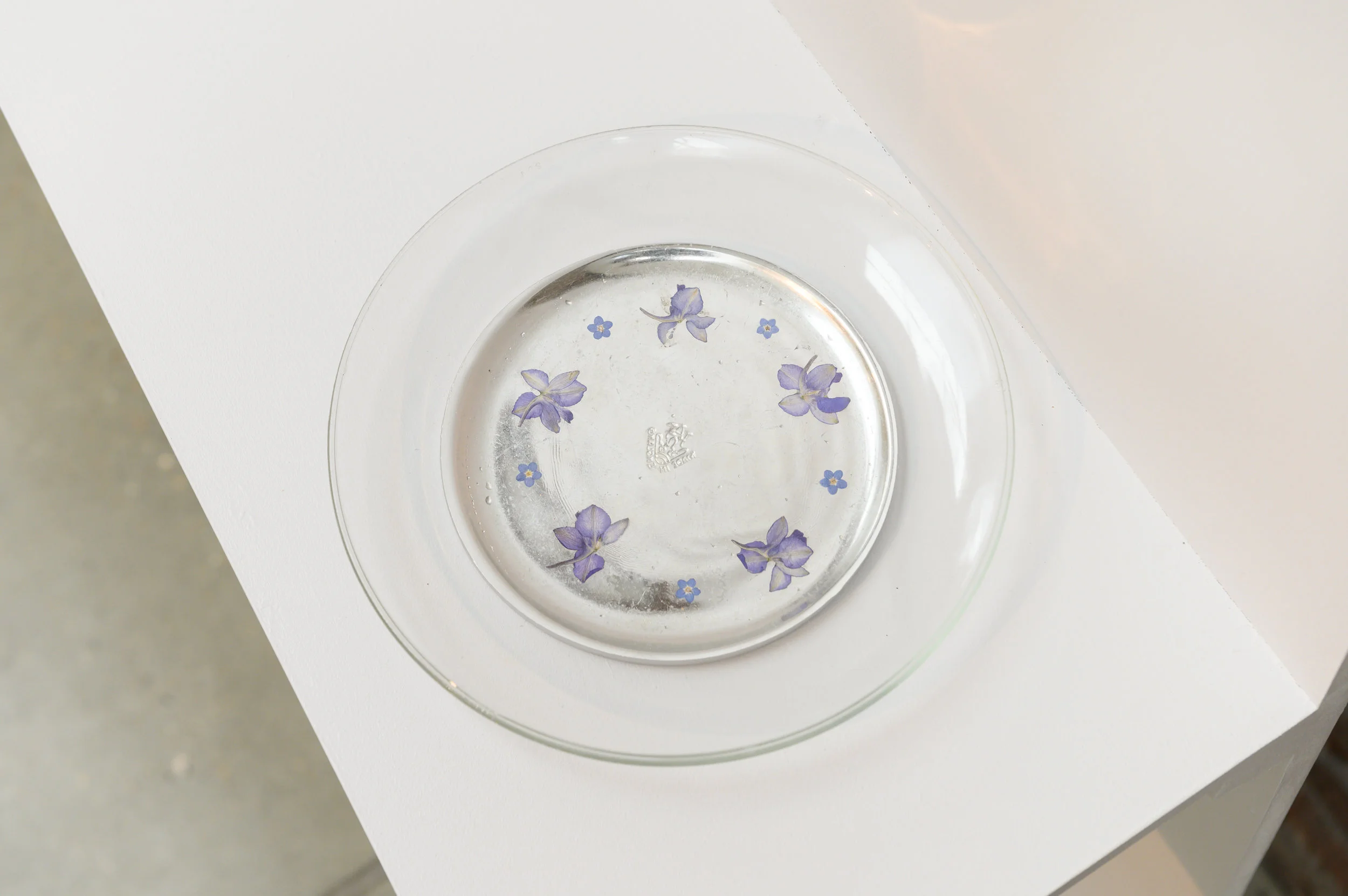 Gran’s Plate II - pressed Delphinium & Forget Me Not flower, pewter alloy & Gran’s plate (glass)