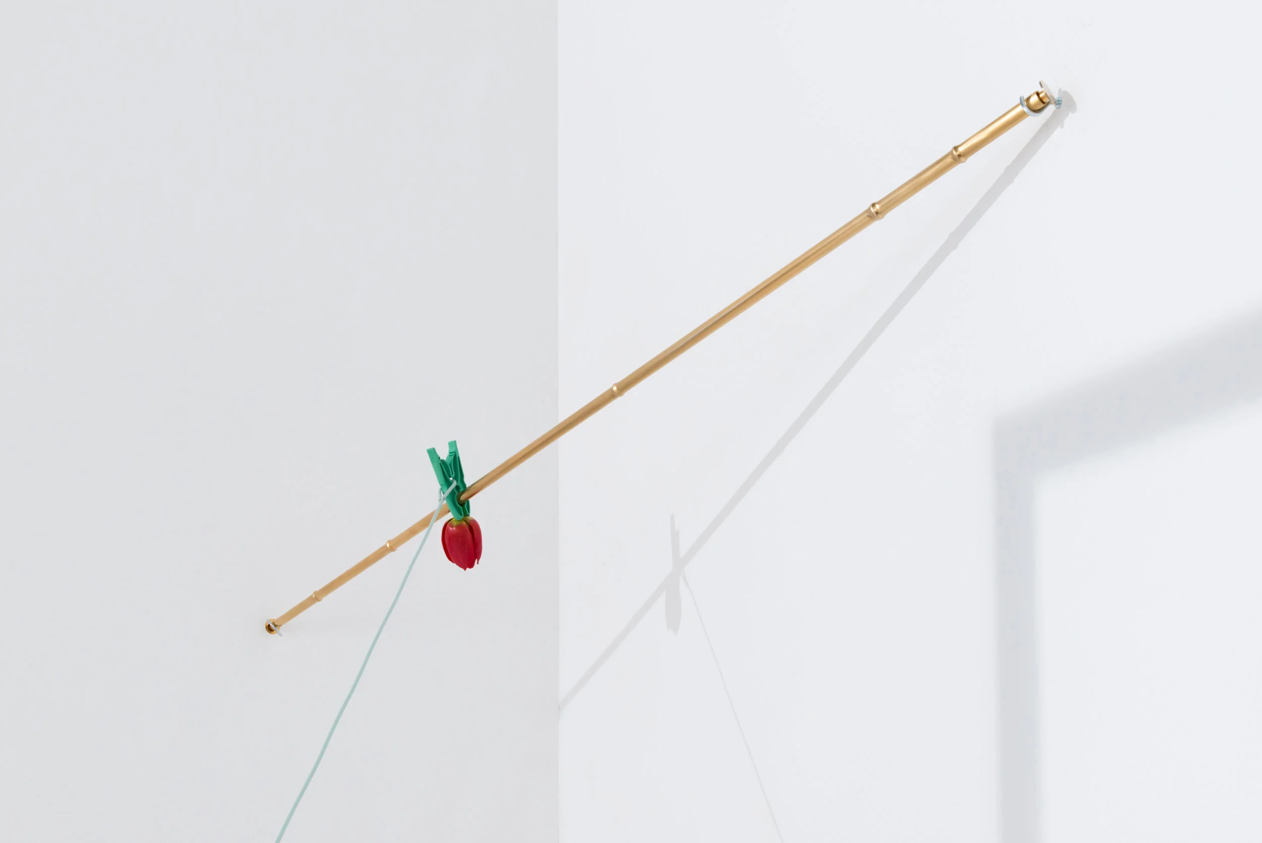 Bamboo Vase - gold plated stainless steel, washing line & peg