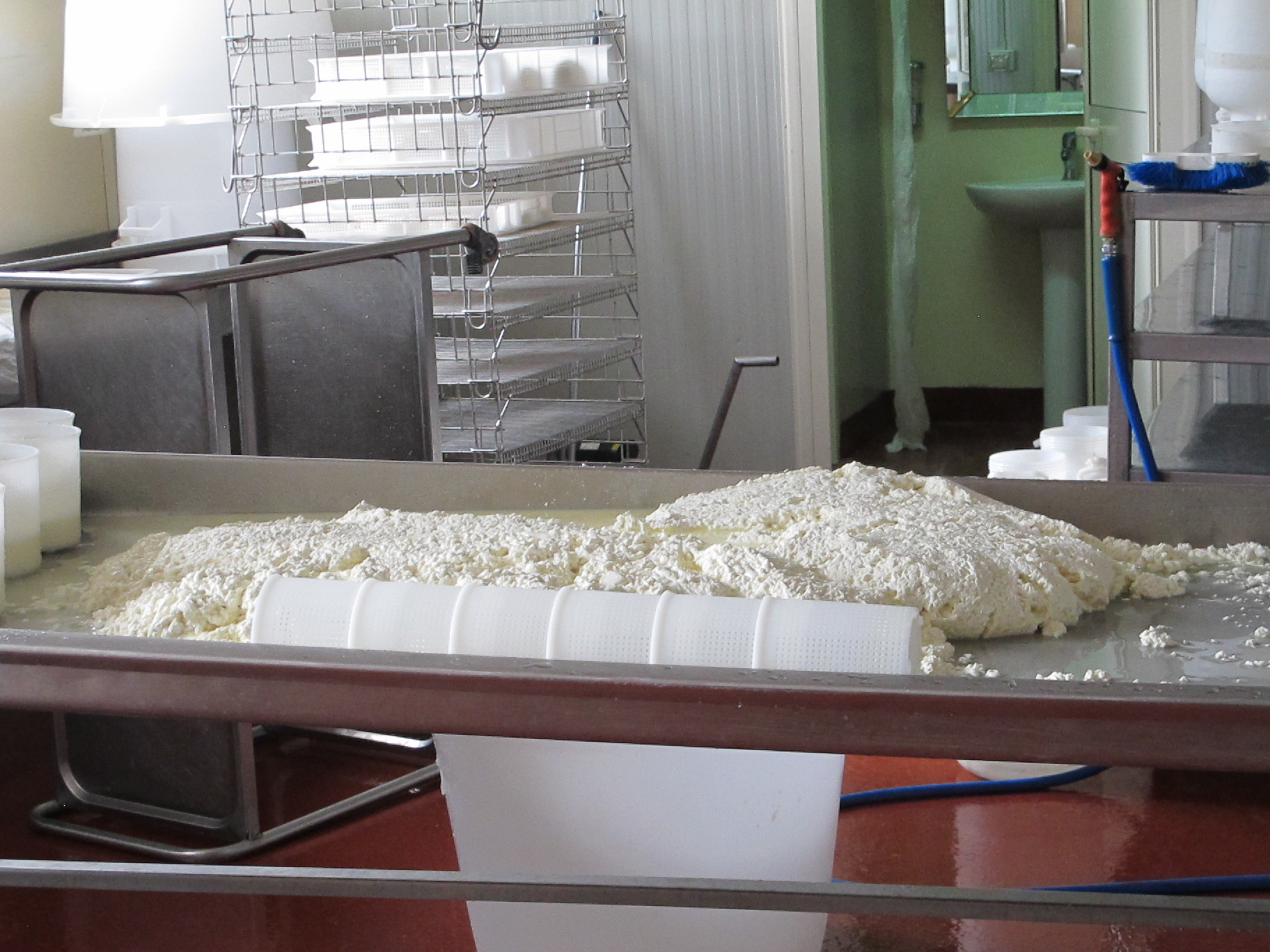 Cammarata Azienda Agricola, CALTANISSETTA