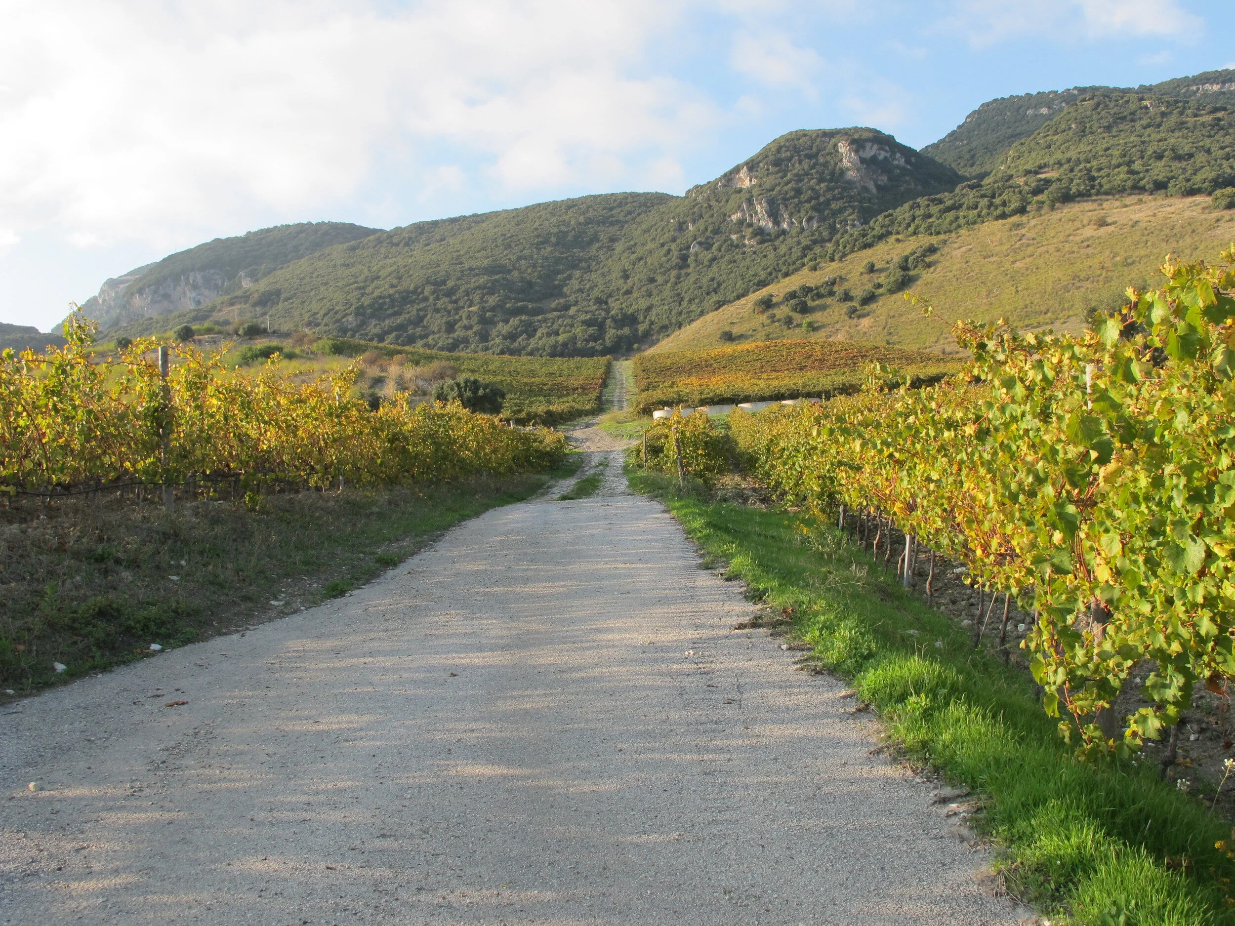 di giovanna, SAMBUCA DI SICILIA