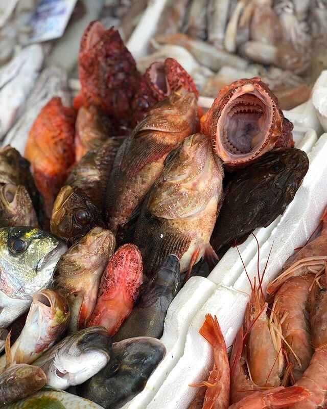 catch of the day, all the fixin&rsquo;s for couscous trapanese. love this fish market. open every morning 7:30am-1pm.