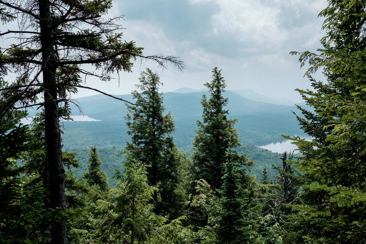 On ne peut pas tout avoir dans la vie...