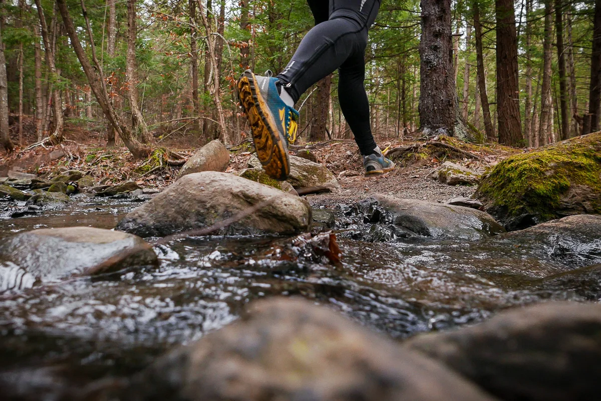 Se perdre dans le bois   |   Getting lost into the woods