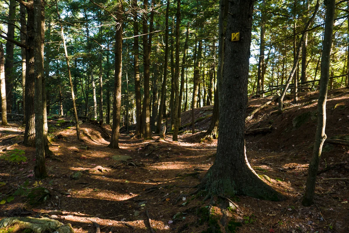 Choses à savoir avant votre premier ultramarathon / Things to know before your first ultramarathon