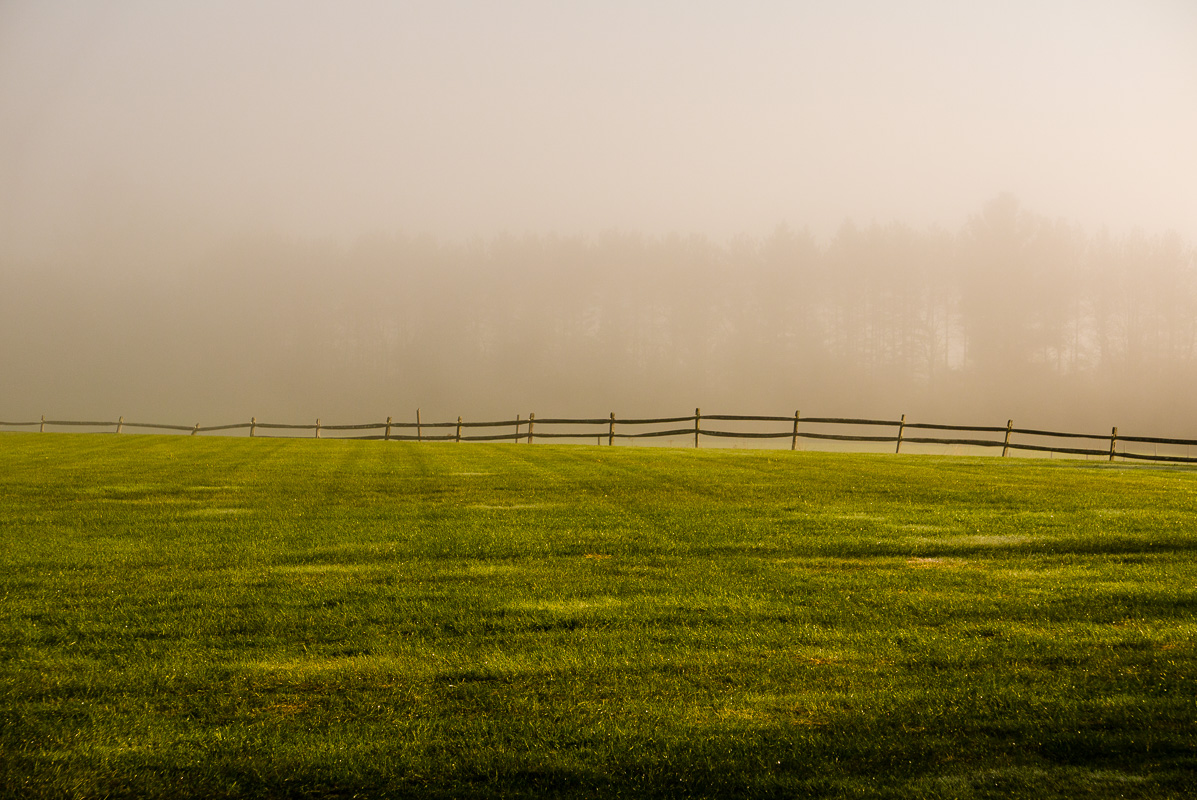 La vue que nous avions, le matin, au réveil.