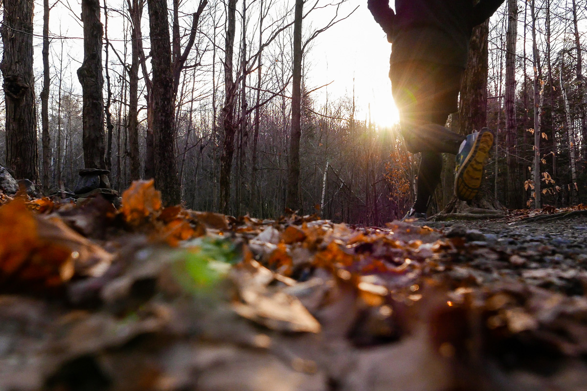 L'automne est ma période préférée de l'année pour courir.