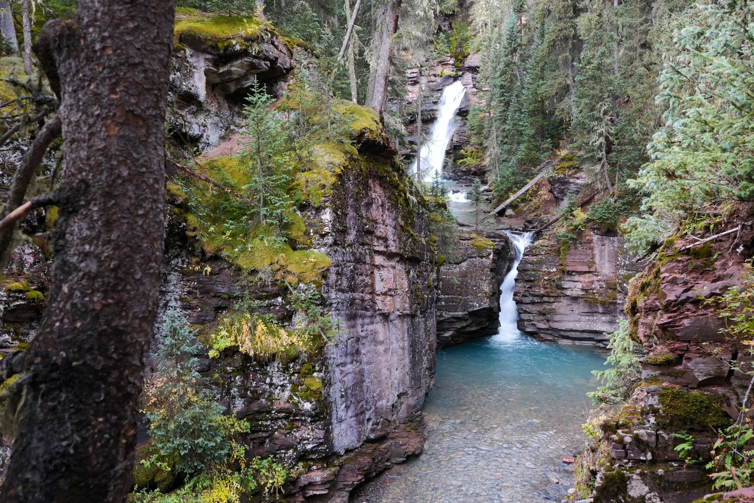 South Fork Mineral Creek