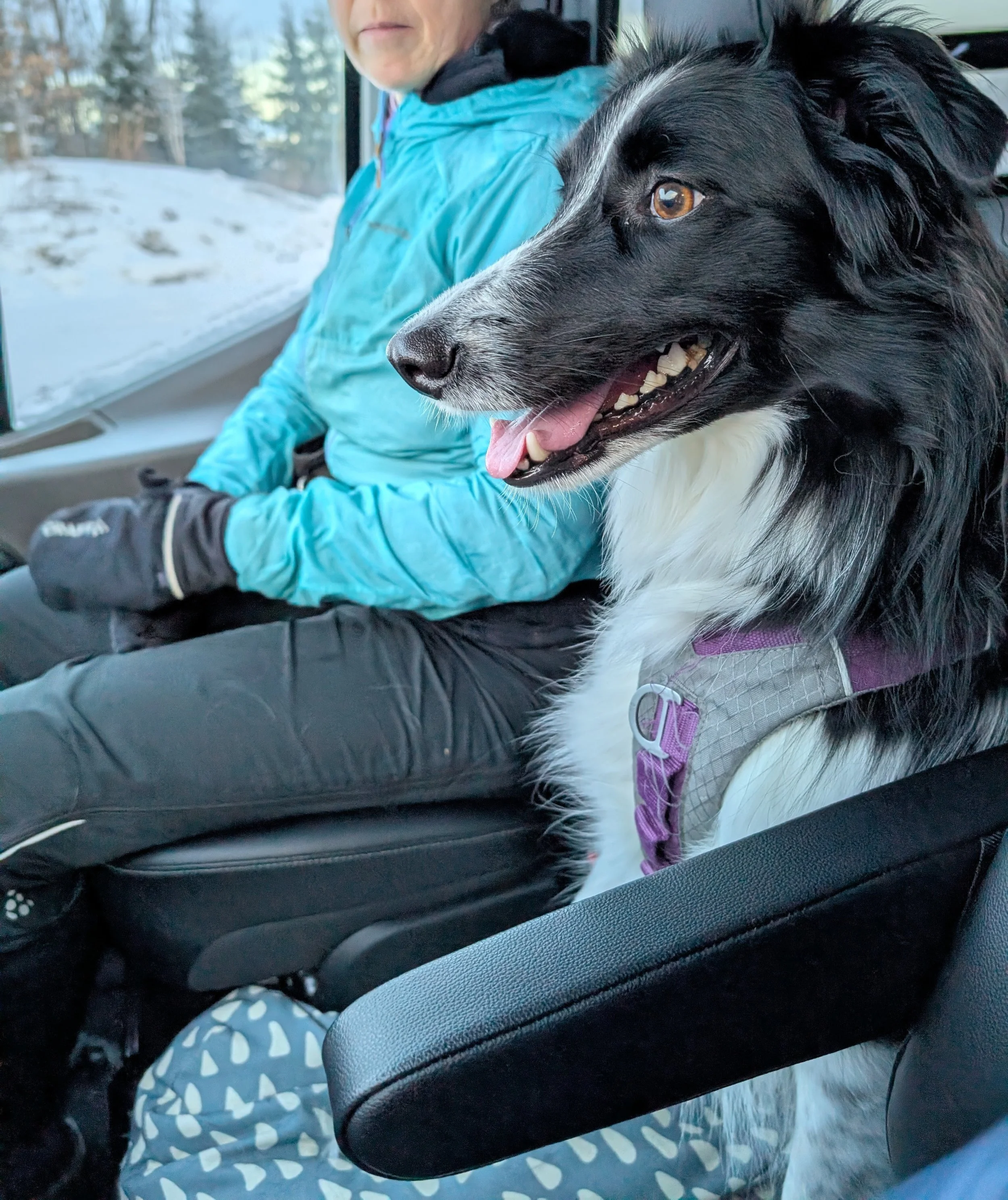 Edith a beaucoup aimé son premier tour de van