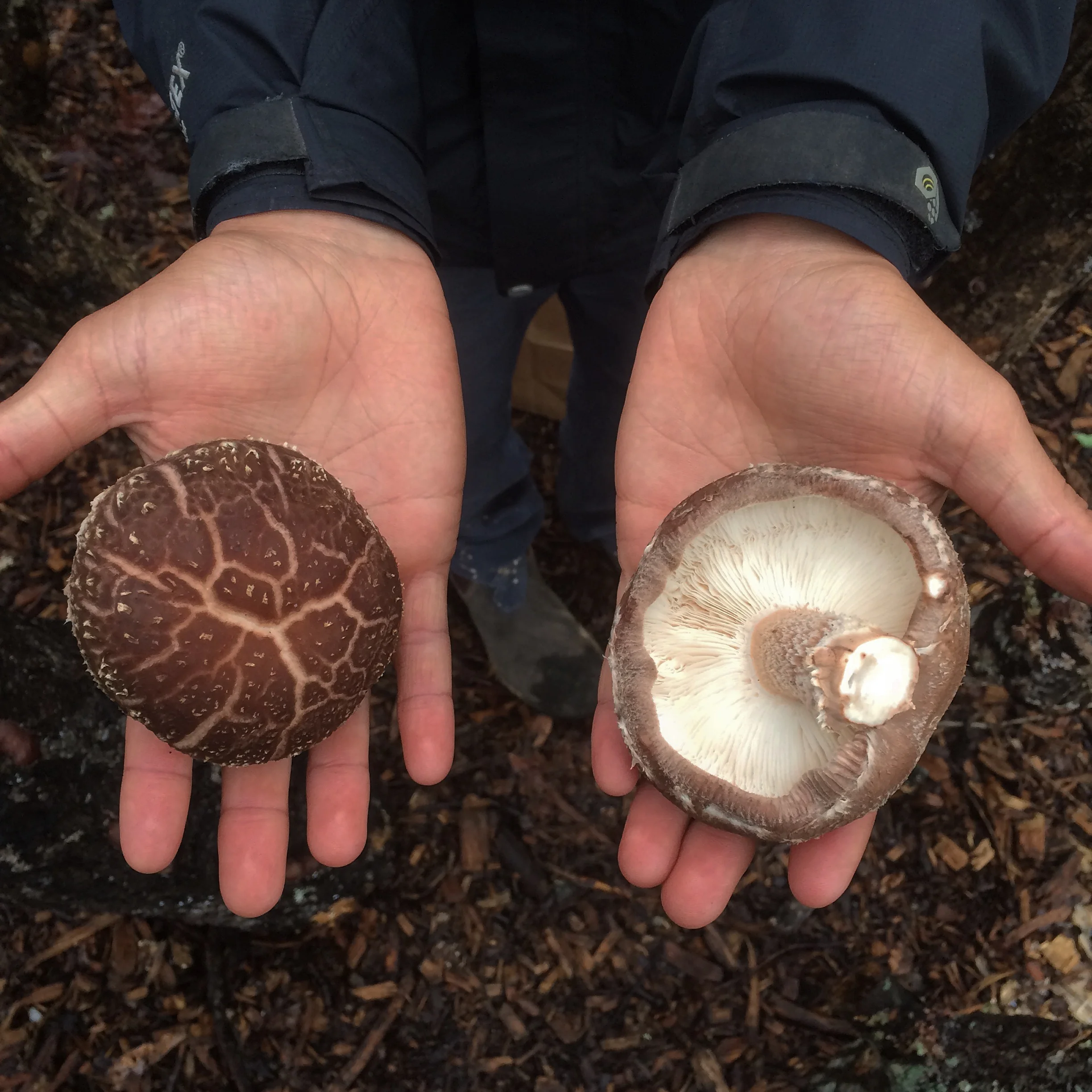 Tucker shows off two gorgeous, fresh cut caps