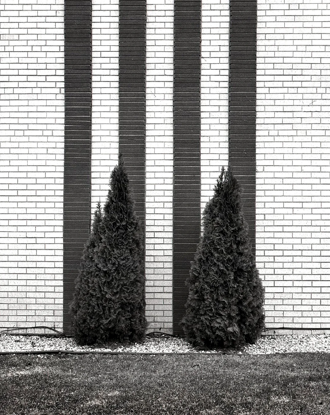 Bushes and Bricks > Melrose Park, IL 2011