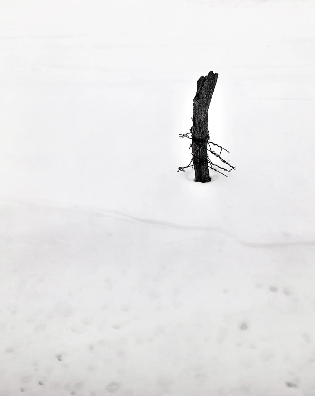 Winter Fence Post and Barb Wire > DeKalb, IL 2003