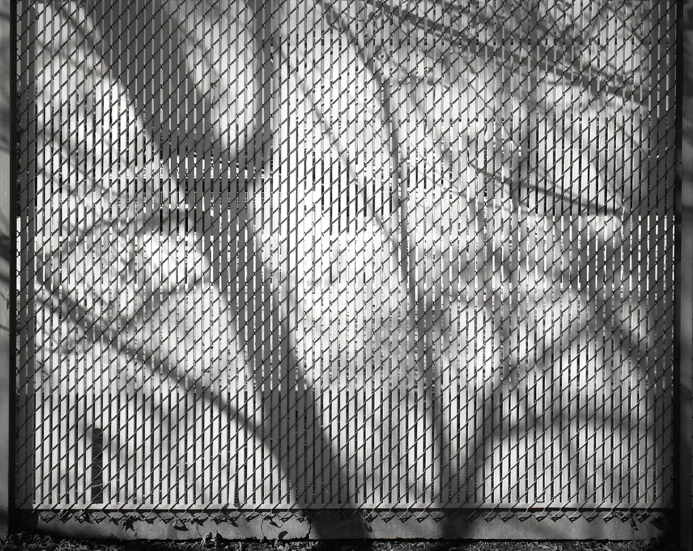 Privacy Fence > DeKalb, IL 2003