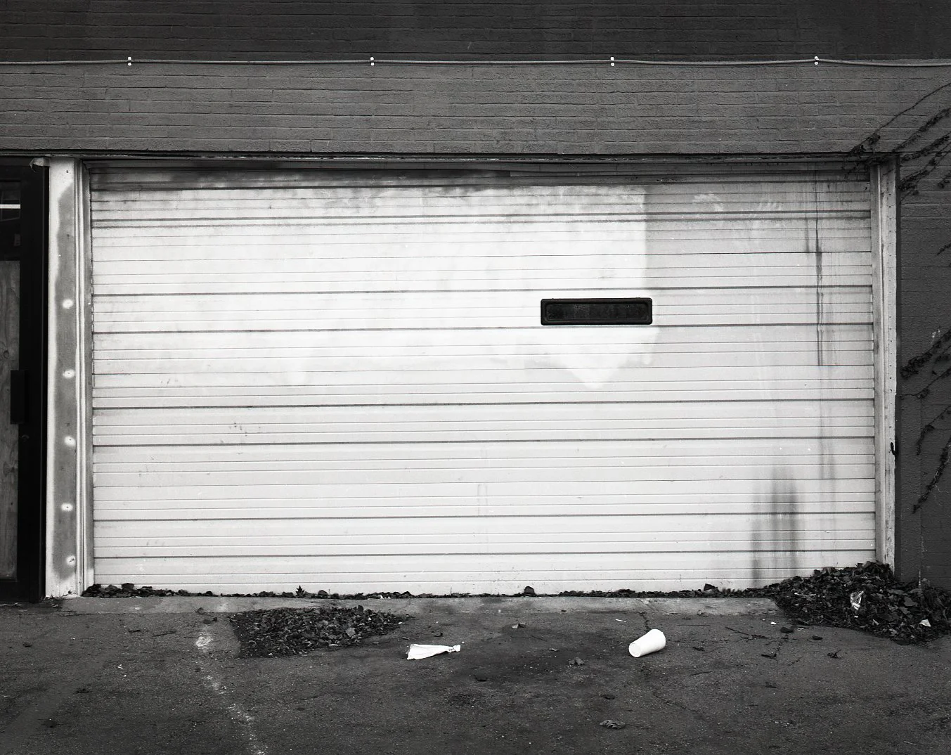Garage Door and Garbage > Chicago, IL 2015