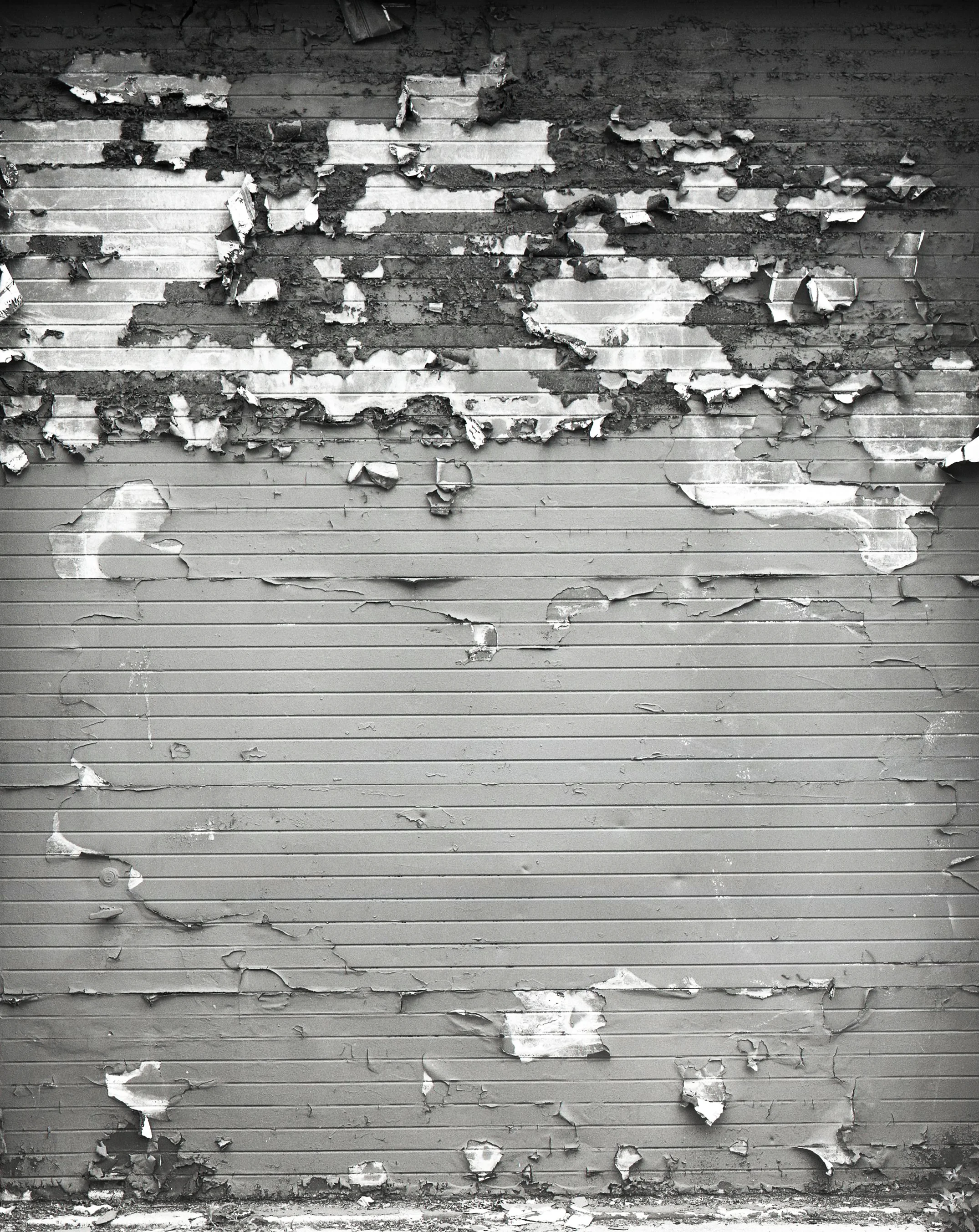 Garage Door Paint Decay > Chicago, IL 2015