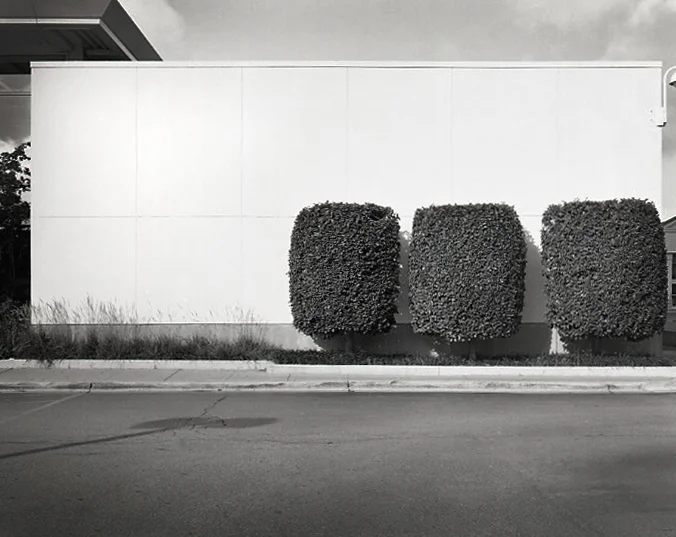 Three Bushes > Chicago, IL 2014