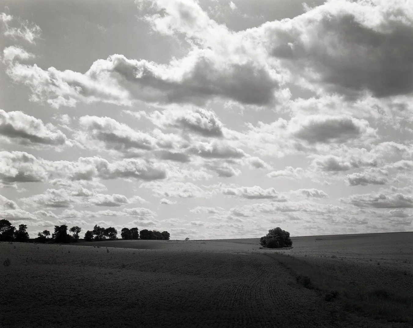 Landscape, Clouds and Tree > Ridott, IL 2005