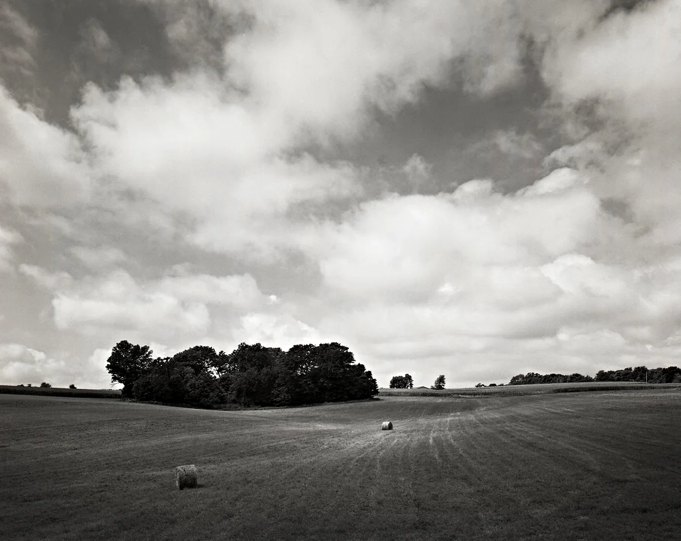 Two Hay Bales and Copse > Dakota, IL 2004