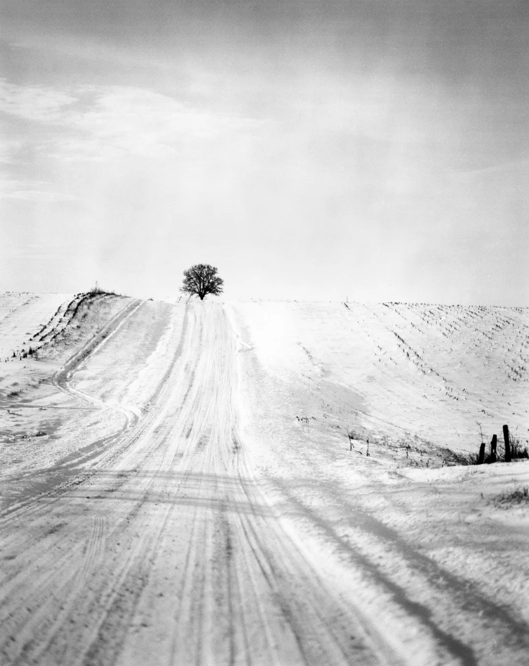 Winter Road and Tree > Mt. Carroll, IL 2007