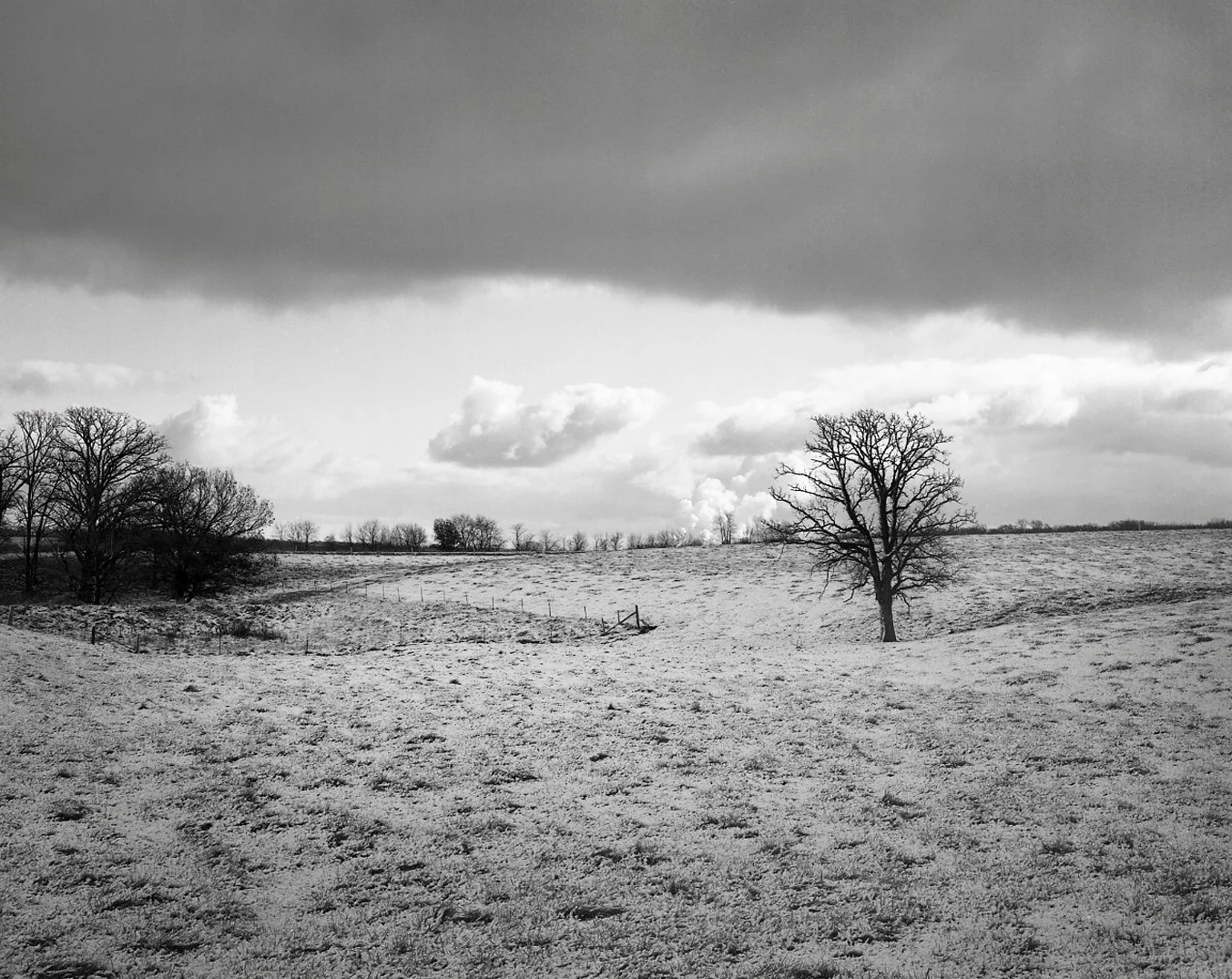 Winter Landscape, Tree and Clouds > Byron, IL 2007